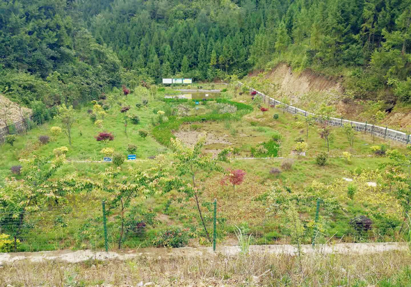 騰沖市中和鎮(zhèn)新岐社區(qū)傳統(tǒng)村落環(huán)境綜合治理項(xiàng)目